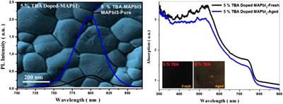 Tetrabutylammonium (TBA)-Doped Methylammonium Lead Iodide: High Quality and Stable Perovskite Thin Films